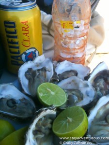 Oysters are delicious.