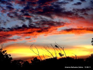 CancunSunsetGroves-aBanuelos