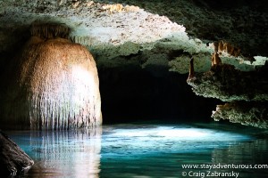 the view of a cenote...