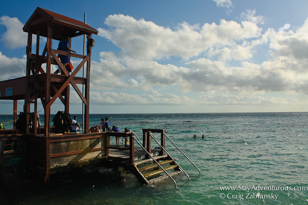 the snorkel platform on De Palm Island, Aruba