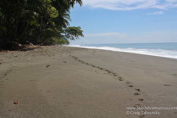 Costa Rica's Best Beaches are on the Osa Peninsula | Stay Adventurous ...