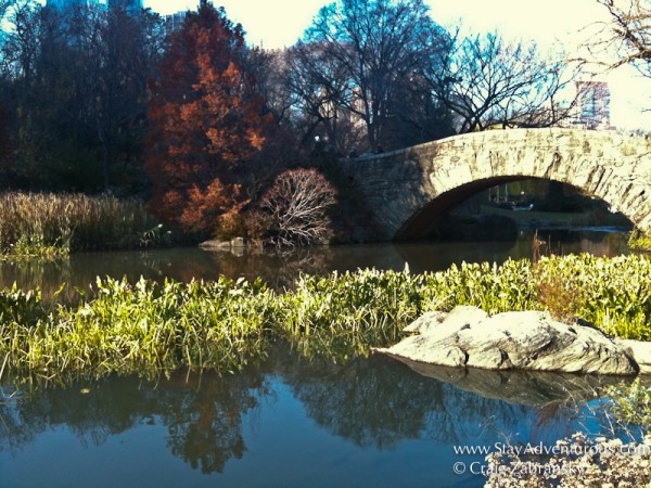 Central Park in the Fall