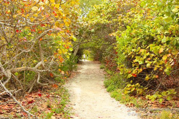 trails inside bahia honda, florida keys