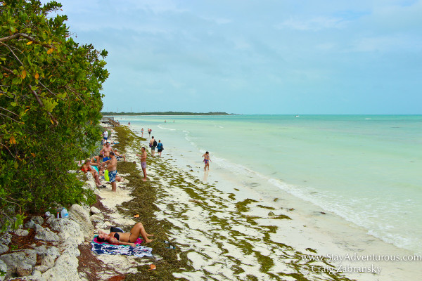 the beach on th eoceanside, the atlantic inside Bahia Honda, Florida Keys