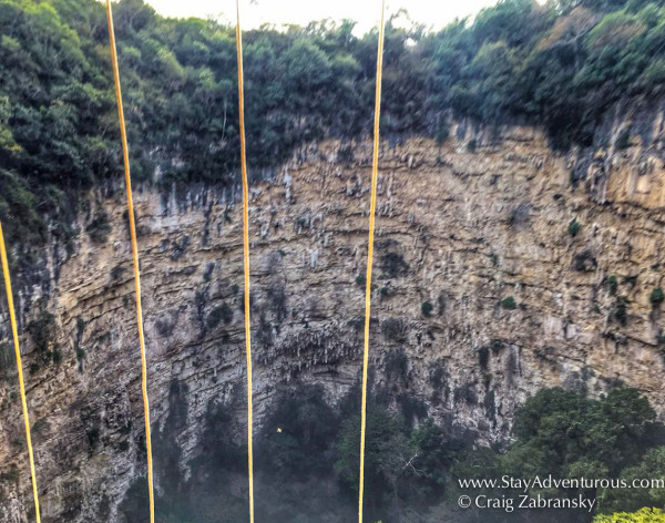 sinkhole of parrots view from partially down the rappel lines in chiapas, mexico