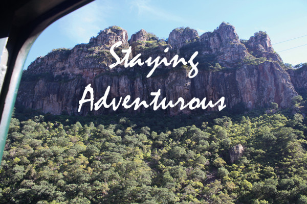 the views of the copper canyon from the el chepe train in chihuahua, mexico