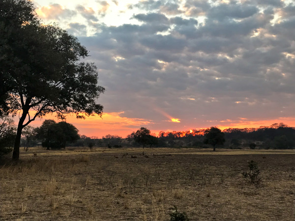 the Sunset in South Luangwa National Park in Zambia for Sunset Sunday