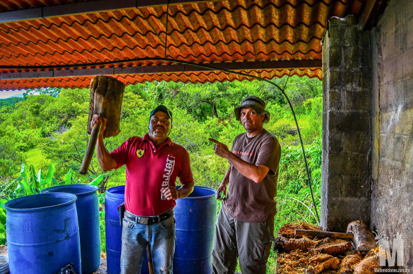 Smashing the roasted pina when making the Mezcal in Malinalco, Mexico on the Ruta de Zapote