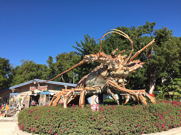 betsy the Lovster outside the Rain Barrel, Artisan shps in Islamorada, Florida