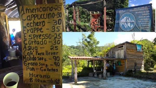 organic high altutude coffee in colima at cafe yerbabuena 