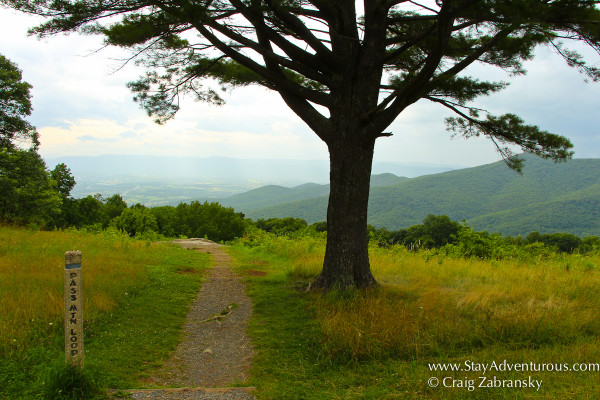 hiking trail skyline drive shenandoah national park, virginia