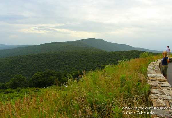 skyline drive shenandoah national park, virginia