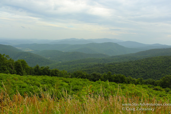 skyline drive shenandoah national park, virginia