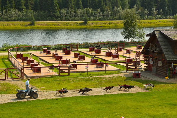 at the Susan Butcher Kennel in Fairbanks, Alaska