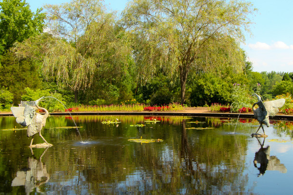 one of the calming views inside the Huntsville Botanical Garden in Huntsville, Alabama