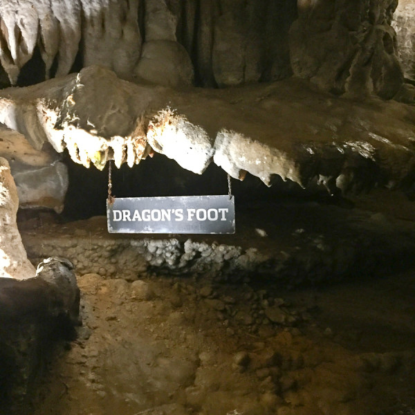 Dragon's Foot - Ruby Falls Chattanooga, Tennessee