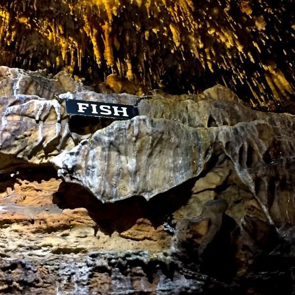 fish Ruby Falls Chattanooga, Tennessee