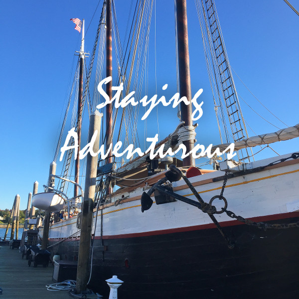 sailing the schooner victory chimes in rockland maine usa