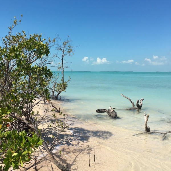 nest key florida keys part of the everglades national park