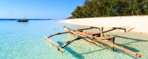 the beaches of zanzibar are some of the most pristine and beautiful in thr world