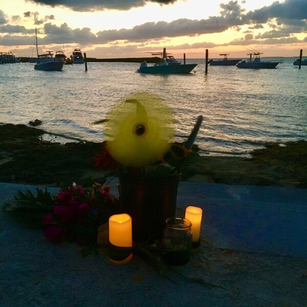 flowers and a memorial for pascal in exective bay 