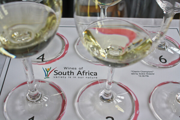 south african wine tasting 