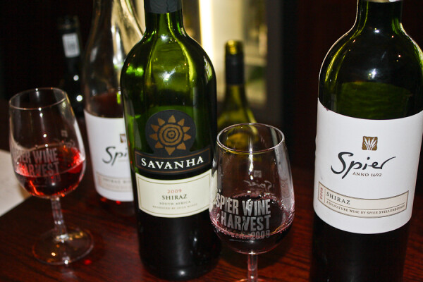 tasting the reds at Spier Vineyards in Stellenbosch, South Africa