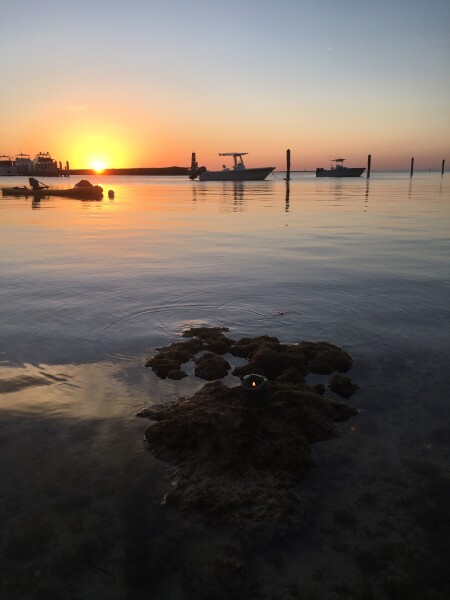 sunset for pascal in islamorada florida keys