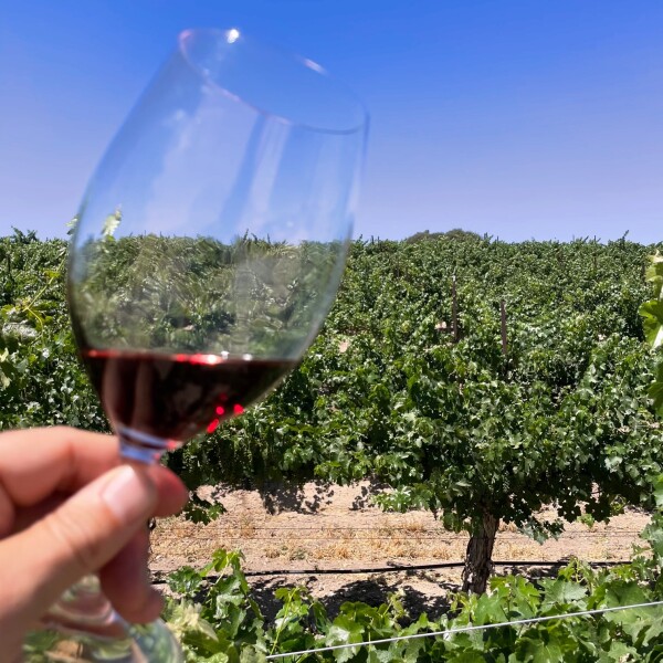 tasting a red GSM wine in the Paso Robles wine region of California 