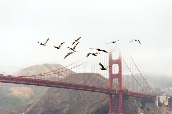 Golden Gate Bridge San Francisco