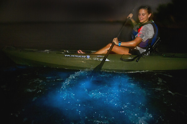 bioluminescence kayak in coastal water space coast florida