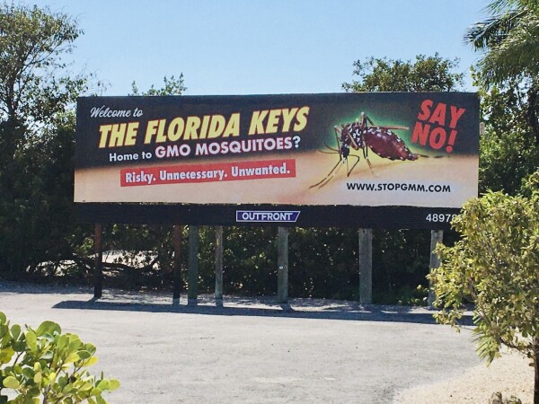 StopGmm.com, a sign in the Florida Keys designed to edcuate, to make citizens and tourists aware of this experiement 