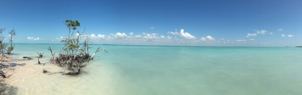 florida keys, evergaldes national park nest key beach