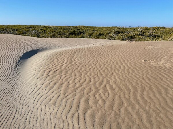 the sand dunes of Magdalena Island from Puerto Adolfo Lopez Mateos Baja California Sur, Mexico