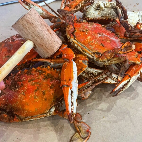 Bag of steamed crabs with Old Bay in Ocean City, Maryland