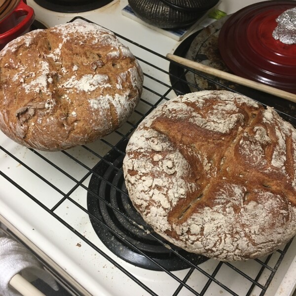 bake artisinal bread