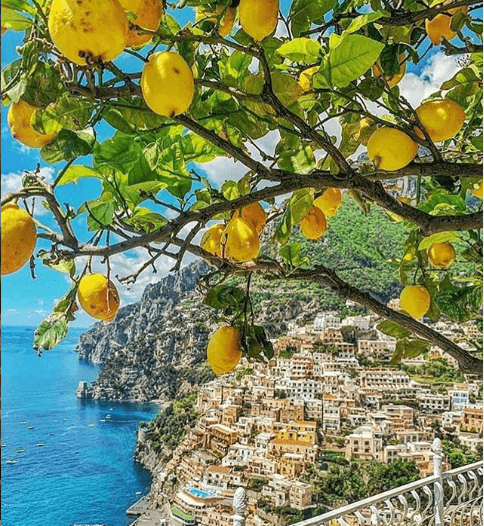 lemons on the amalfi coast
