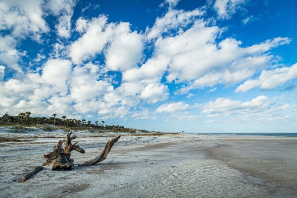 amelia island florida beaches