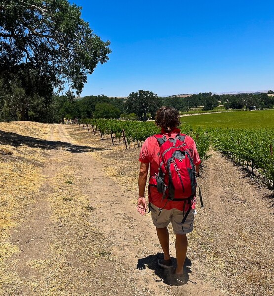 walking the vineyards in Paso Robles