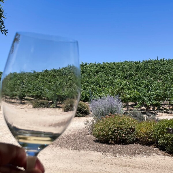 tasting the wines in Paso Robles