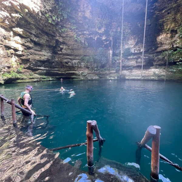 cenote at selva maya in the  yucatan, mexico