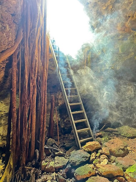 ladder and light inside a mayan cenote in the yucatan of mexico