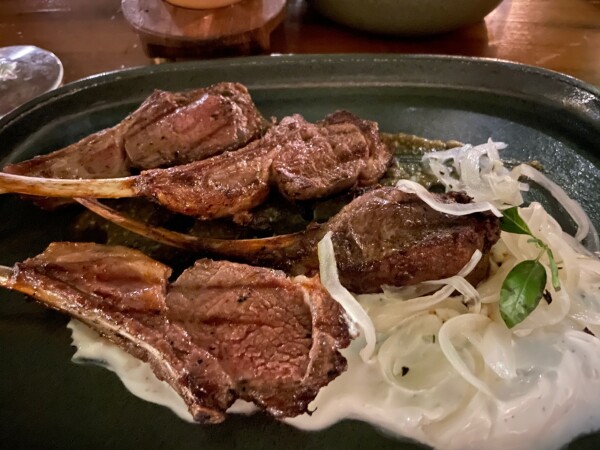 lamb chops at Arcano, Merida Yucatan, Mexico