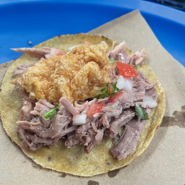 a taco de lechon, a must order in merida, yucatan, mexico at La Lupita