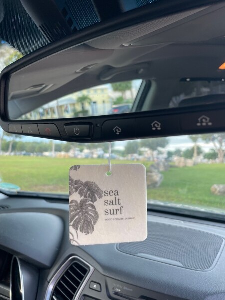 Sea, Salt, Surf, BT Car Air Fresheners