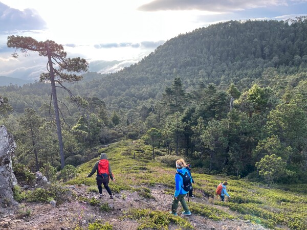 hiking in the sierra norte