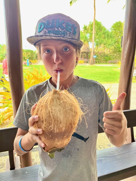 coconuts at the polynesian center on oahu in hawaii