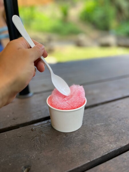 enjoying a shaved ice on the North Shore of Oahu
