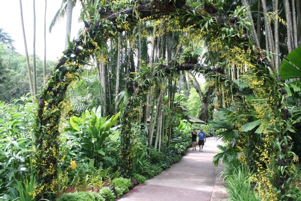 a lovely walkway in a park in singapore