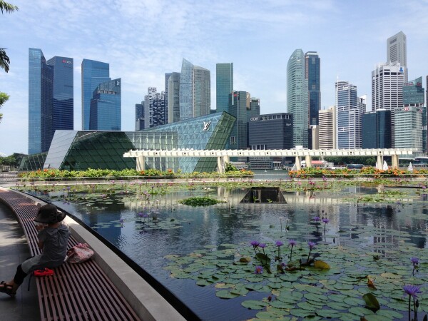 view of sinagpore in from a city park 